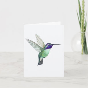 Costa's Hummingbird Grußkarte Karte
