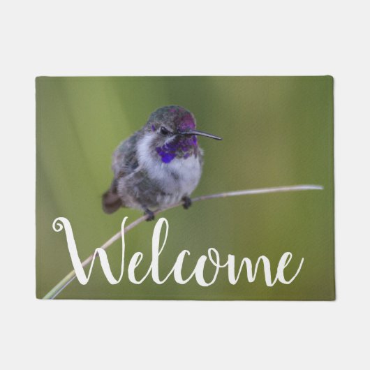 Costa's Hummingbird im August Fußmatte (Vorderseite)