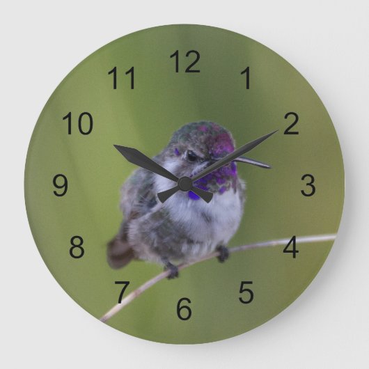 Costa's Hummingbird im August Große Wanduhr (Vorderseite)
