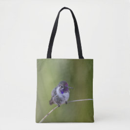 Costa's Hummingbird im August Tasche