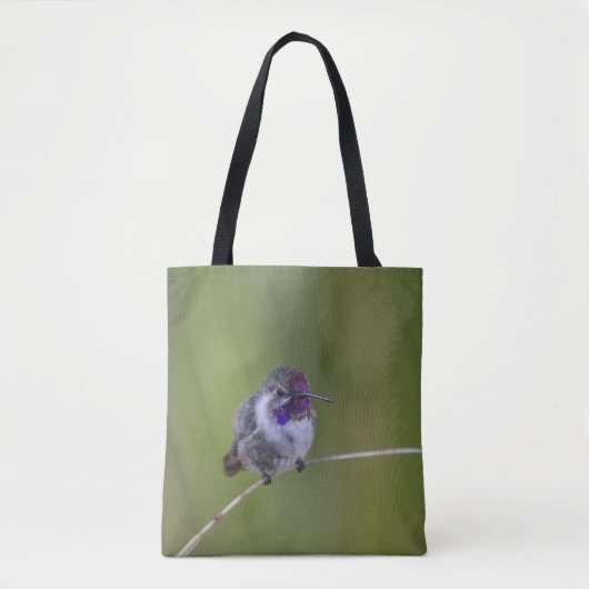 Costa's Hummingbird im August Tasche (Vorderseite)