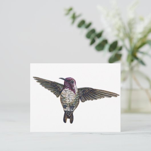 Costa's Hummingbird Postkarte (Stehend Vorderseite)
