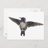 Costa's Hummingbird Postkarte (Vorne/Hinten)