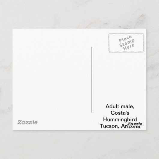 Costa's Hummingbird Postkarte (Rückseite)