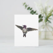 Costa's Hummingbird Postkarte (Stehend Vorderseite)