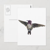 Costa's Hummingbird Postkarte (Vorne/Hinten)