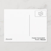 Costa's Hummingbird Postkarte (Rückseite)