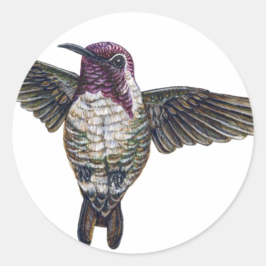 Costa's Hummingbird Runder Aufkleber (Vorderseite)