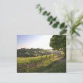 Costigliole d'Asti, Piemont, Italien Postkarte (Stehend Vorderseite)