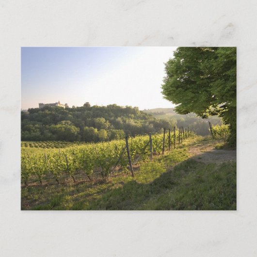 Costigliole d'Asti, Piemont, Italien Postkarte (Vorderseite)