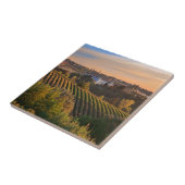 Costilgiole d'Asti, Piemont, Italien Fliese (Seite)