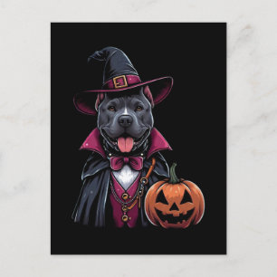 Costumed Pitbull Halloween Postkarte