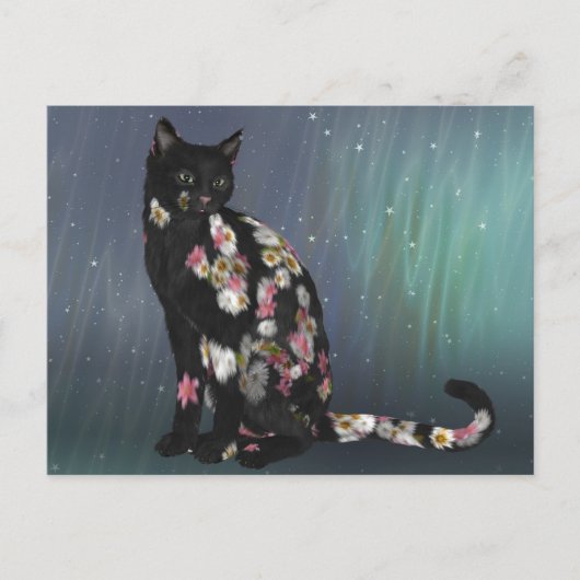 Cosy Black Daisy Cat Postkarte (Vorderseite)