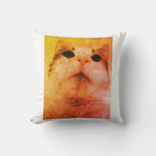 Cosy Cat Dreams Pillow Kissen (Vorderseite)