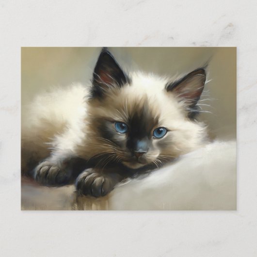 Cosy Companion Siamese Kitten Postkarte (Vorderseite)