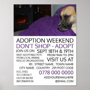 Cosy Dog, PET Adoption Poster