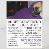 Cosy Dog, Werbung für Tiervermittlungsevent Flyer (Vorne)