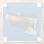 "Cosy Hideaway: The Ginger Cat in the Showbox" Glasuntersetzer (Rückseite)