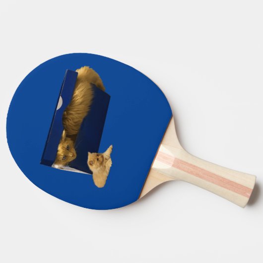 "Cosy Hideaway: The Ginger Cat in the Showbox" Tischtennis Schläger (Seitenansicht)