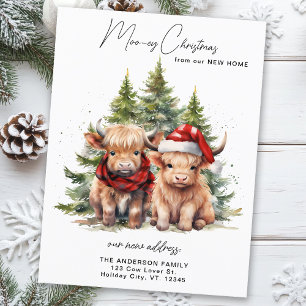Cosy Highland Cow neue Adresse Frohe Weihnachten