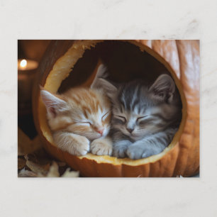 Cosy Kittens Snugggle in a Pumpkin Feiertagspostkarte