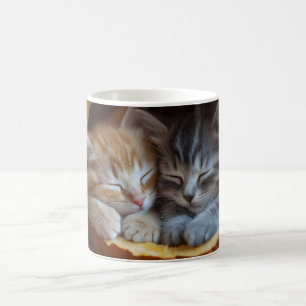 Cosy Kittens Snugggle in a Pumpkin Kaffeetasse