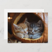 Cosy Kittens Snugggle in a Pumpkin Postkarte (Vorne/Hinten)
