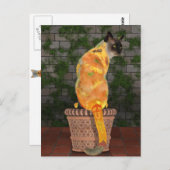 Cosy Sunflower Cat Postkarte (Vorne/Hinten)