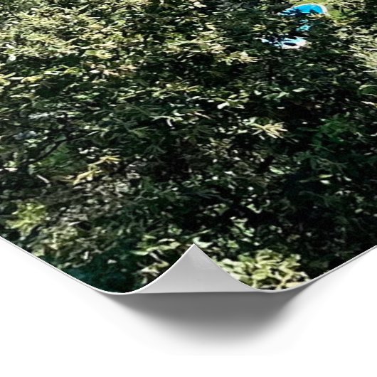 Côte d'Azur Poster (Ecke)