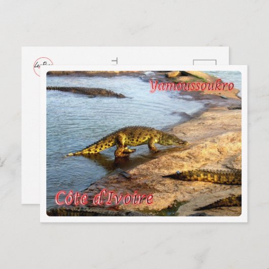 Côte d'Ivoire - Yamoussoukro - Postkarte (Vorne/Hinten)