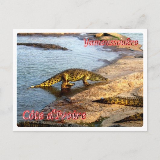 Côte d'Ivoire - Yamoussoukro - Postkarte (Vorderseite)