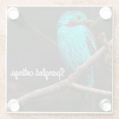 Cotinga Glasuntersetzer (Rückseite)