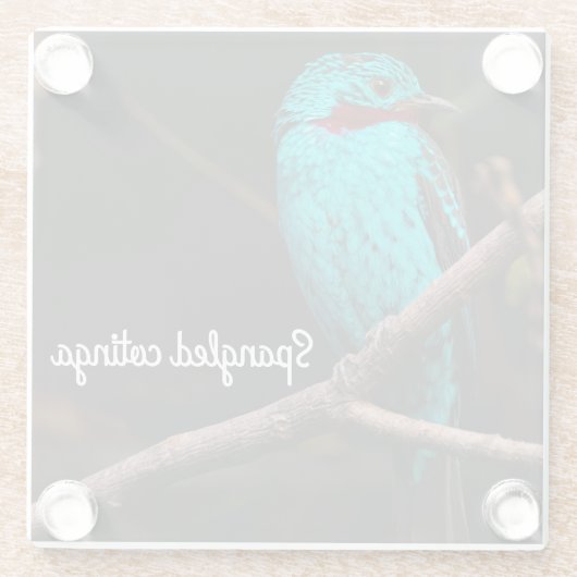 Cotinga Glasuntersetzer (Rückseite)