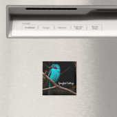 Cotinga Magnet (In Situ (Geschirrspüler))