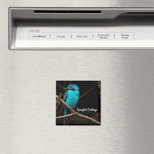 Cotinga Magnet (In Situ (Geschirrspüler))