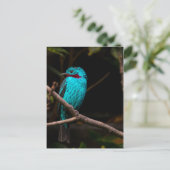 Cotinga Postkarte (Stehend Vorderseite)