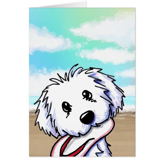Coton de Tulear (Vorne)