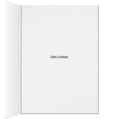 Coton de Tulear (Innen (Rechts))