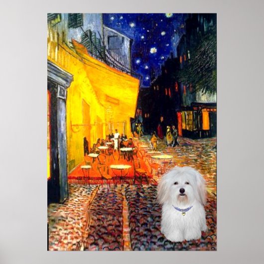Coton de Tulear 4b - Café Poster (Vorne)