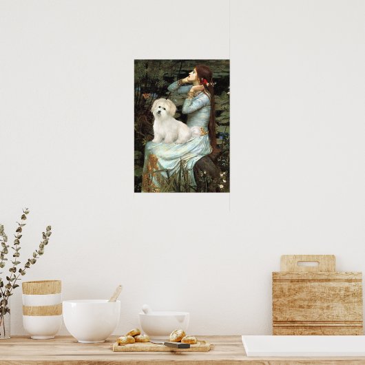 Coton de Tulear 7 - Ophelia Sitzplatz Poster (Küche)