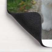 Coton de tulear auf Bank Mousepad (Ecke)