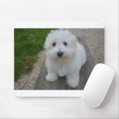 Coton de tulear auf Bank Mousepad (Mit Mouse)