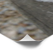 Coton de tulear auf Bank Poster (Ecke)