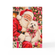Coton de Tulear Christmas Card - Santa