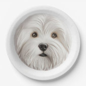 Coton De Tulear Dog 3D Inspiriert Pappteller (Vorderseite)
