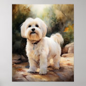 Coton De Tulear Dog Art Print Poster (Vorne)