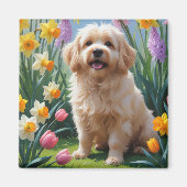 Coton De Tulear Dog Frühlingsblumen Malerei Magnet (Vorne)