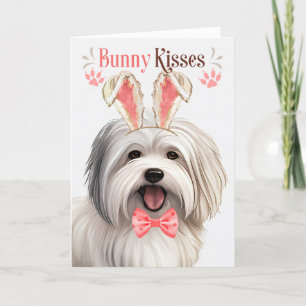 Coton de Tulear Dog in Bunny Ears für Ostern Feiertagskarte