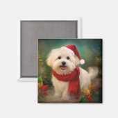 Coton De Tulear Dog in Schnee Weihnachten Magnet (Vorderseite/Rückseite)