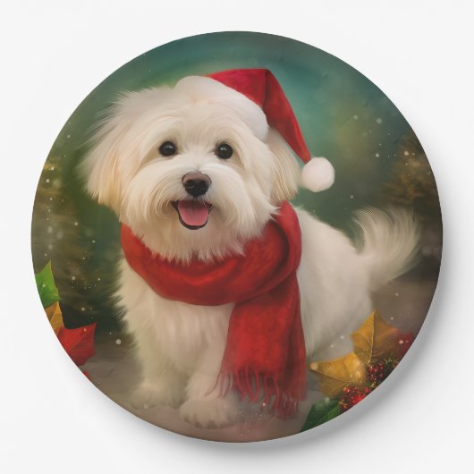 Coton De Tulear Dog in Schnee Weihnachten Pappteller (Vorderseite)